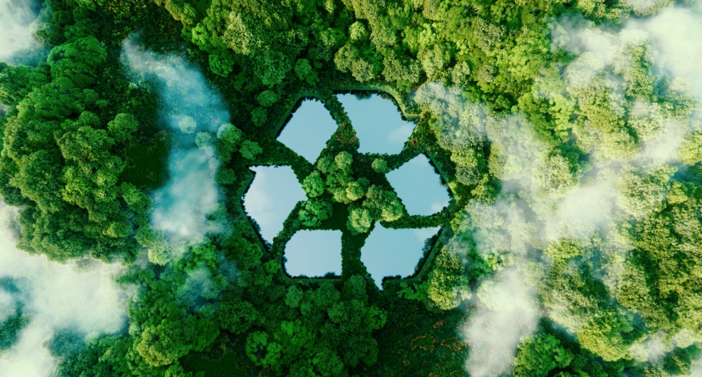 green and friendly environment