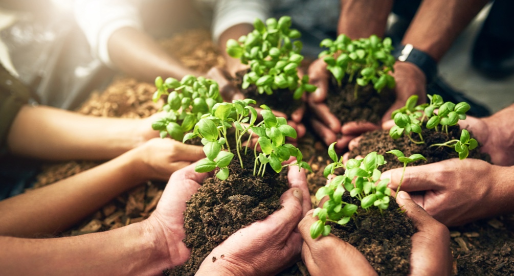 social responsibility